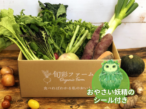 【食育やさいBOX】Sサイズ旬彩野菜セット+サラダセット