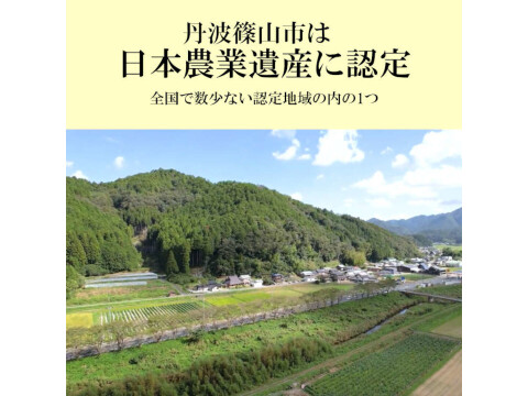 丹波篠山 黒枝豆 1.8kg( 600g × 3袋 ) 【令和7年新豆・予約販売】 産地直送 期間限定 贈答用にも最適 大粒 最高級 さや 枝豆
毎年完売 今しか味わえない 丹波篠山の黒枝豆 数量限定