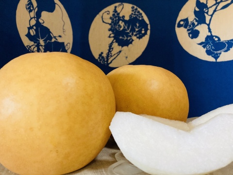 【数量限定】見て大きさにビックリ‼️食べて甘さにビックリ‼️✨厳選✨甘熟熊本特産品ジャンボ荒尾梨(新高)2玉(約1.6kg〜)