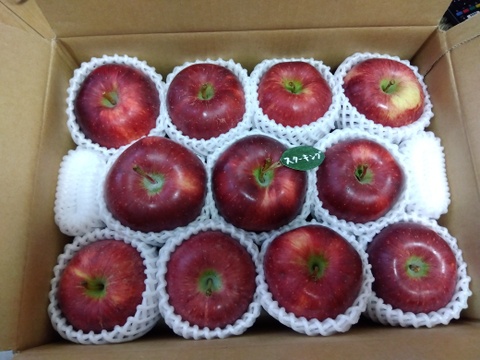🍎希少品種🍎【スターキング】家庭用約3キロ9～15玉 ID167296