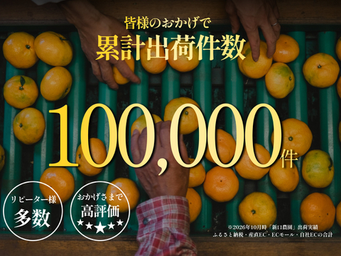みかんGP2026最高金賞】愛果48号【新品種】甘平×まどんな【紅