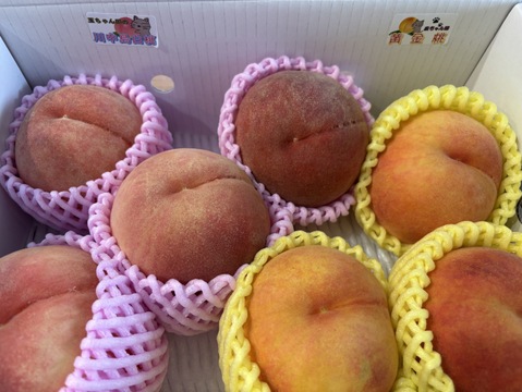 お買い得!まるせい果樹園の桃　黄桃と晩生種の詰め合わせ【おまかせ】2kg(6～11玉入り)自家用　贈答用  mix2