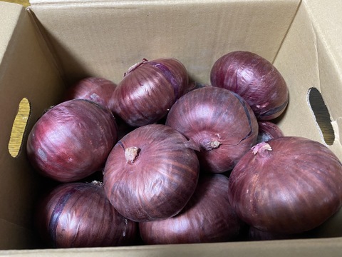 訳ありレッドオニオン❣️3kg〜玉ねぎ大国淡路島からの玉ねぎ