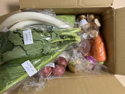 自然栽培野菜Mセット7～9種類