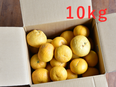 【5月中旬より発送予定】爽やかで夏らしい味わい　夏みかん【家庭用(訳あり)】5kg 318-3