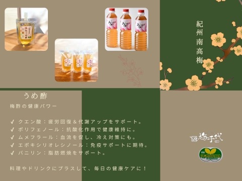 和歌山県 特別栽培】はちみつ 梅干し 400g 紀州 南高梅 農家直送