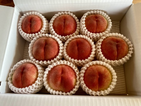 硬くても甘い、お好みの硬さで！あかつき『福島の桃』３kg（８〜１２玉）【贈答用】