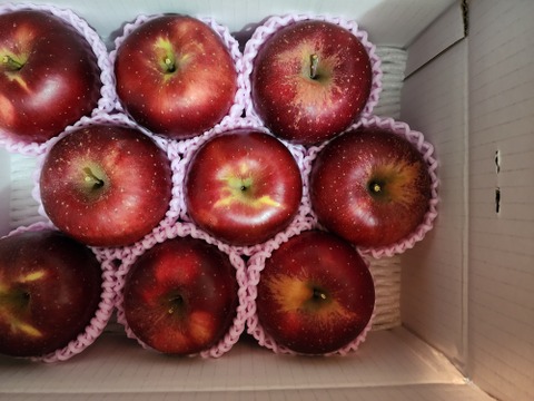 まるせい果樹園のべにこはく　3㌔　贈答用　自家用　家庭用　商品ＩＤ　Ｅ15