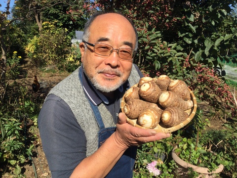 [ねっとり・やわらか] 里芋　1.5キロ　栽培期間中農薬不使用　日本一の野菜生産地　茨城県鉾田　おまけ付き👍