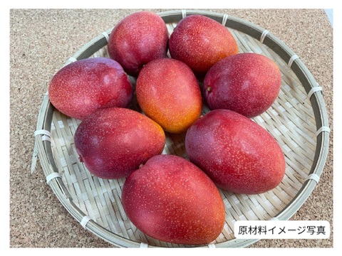 【敬老の日ギフト】無添加おやつ☆宮古島産マンゴーで作った☆ドライマンゴー