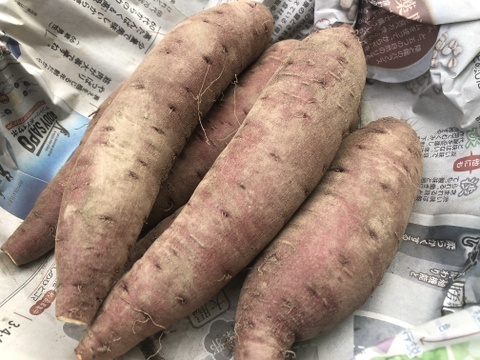 自然栽培さつまいも 紅あずま(3kg)