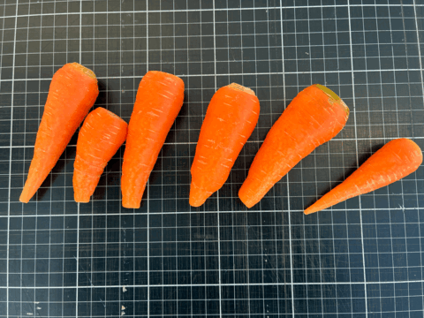 使い切りサイズ！小さめ有機人参1kg入り