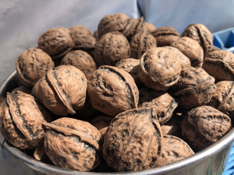 令和2年産 殻付きくるみ 900g メール便 秋田県産 食べチョク 農家 漁師の産直ネット通販 旬の食材を生産者直送