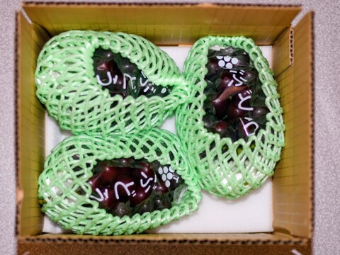 【マスカットノワール3房/約900g】