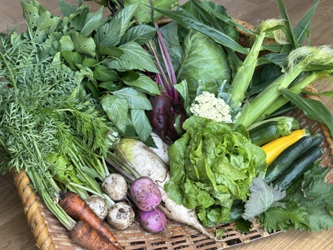 新鮮直送！彩り旬の野菜セット（８～１０品目）