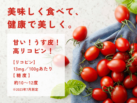 【定期購入専用】シュガープラム2kg 糖度10度以上の高リコピン(13mg)極甘・完熟・高糖度ミニトマト　ジューシーな甘さがクセになる(300004)