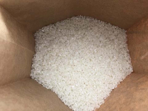 北海道の良質米表彰者が作る少量栽培【ななつぼし】10㎏（令和4年産）