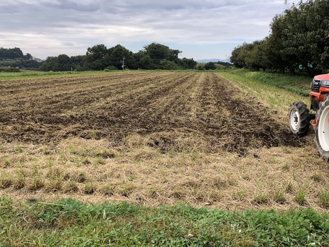 令和7年菊池米食味コンクール第3位受賞　農薬化学肥料成分を気にしなくてよい、「菊池清流米」白米　20ｋｇ