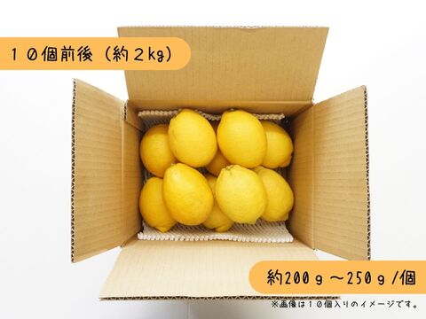 【広島県産】瀬戸内因島の大玉レモン！(2kg)