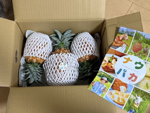 先行予約》✨完熟ピーチパイン約2Kg(3〜4個入)✨ ✨ほんの〜り桃の