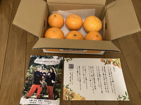 まるで天然ゼリー！まどんな（ご家庭用・2㎏）※１２月上旬発送