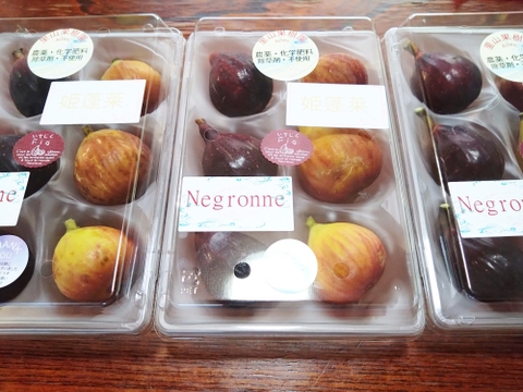 希少イチジク2種セット【農薬化学肥料不使用】和歌山県産