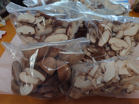 4㎏業務用！菌床生しいたけ　小さくても美味しい（４kg）