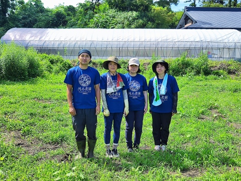 野菜の宝石！【プチぷよとまと】（850g×３箱）約2,6㎏