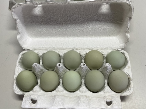 平飼い　碧い瞳のラピィスの卵〜アローカナが生み出す幸せの色　60個
見てよし、食べてよし、贈ってよし〜こってり卵にさようなら