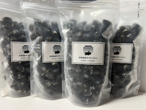 【年末年始の栄養補給に】宍道湖産ヤマトシジミ・冷凍4kg（お任せサイズ）