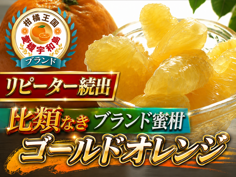 🍊国産やみつきリピーター続出🍊この時期しか食べられない『ゴールドオレンジ』傾斜35度の崖上で収穫される希少な宇和島ブランド☆お試しキャンペーン約1kg🍊家庭用・贈り物🍊【5月上旬予約】