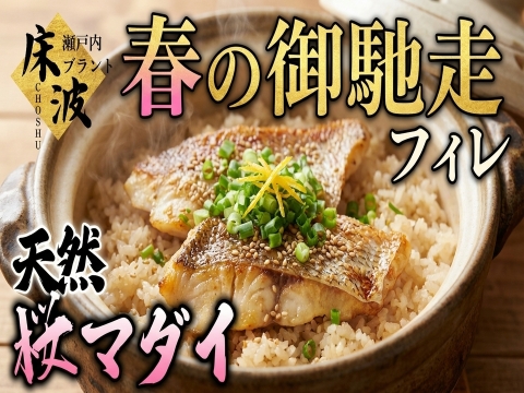 【春の食卓を整える一皿】日常が少し特別になる旬の味🐟天然国産『桜真鯛フィレ』長州床波ブランドお試しキャンペーン切り身約350g【4月上中旬予約】