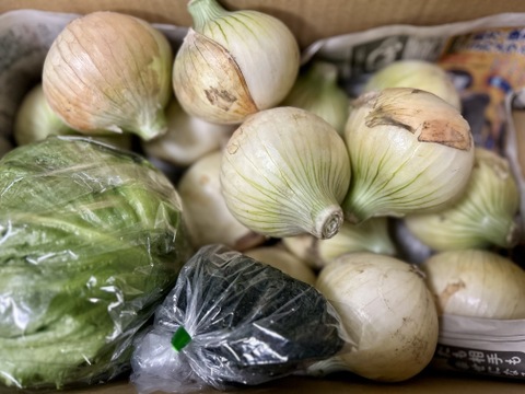 大好評，地層が違う淡路島、新玉ねぎ2キロ(風袋込み)