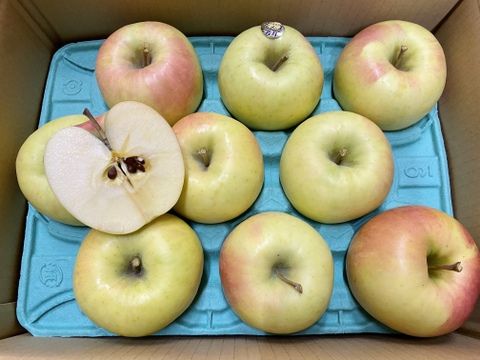 【訳あり】甘いりんごが好きな方に🍏ぐんま名月🍏　青森県産りんご　（8個から12個）