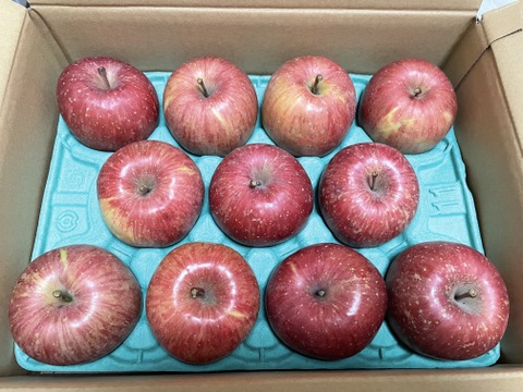 【夜市限定】【毎年１万箱以上売れてます】約３キロ 青森県産りんご「樹上完熟葉とらずふじ」家庭用厳選品