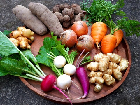 『旬の野菜』固定種☆自然栽培の野菜おまかせセット 8種類前後