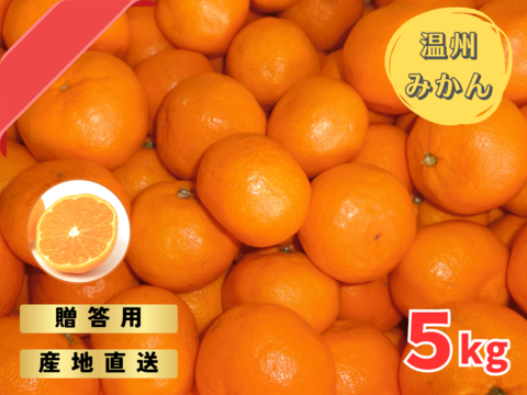 和歌山産みかん【宮川早生みかん】Ｓサイズ 5kg 贈答用 温州ミカン