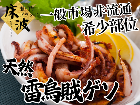 【一般市場非流通の部位】天然国産『雷烏賊ゲソ』長州床波ブランド海鮮部位指定キャンペーン数量限定☆お試し約200g【6月上旬予約】