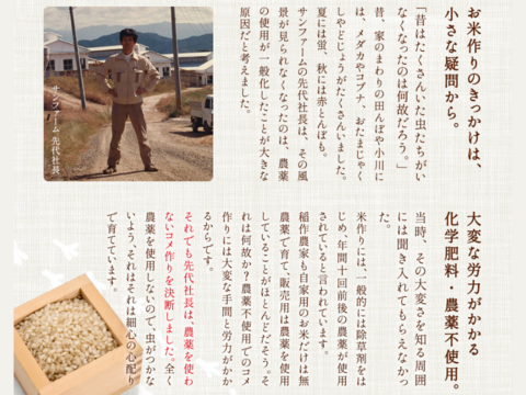 【お試し新発売！！】最高のたまごかけご飯の誕生♪♪「もみじたまごＭ10個」と【令和7年度新米】「サン・ファーム米（玄米2kg）」【通年常温便】★化学肥料及び農薬：栽培期間中不使用