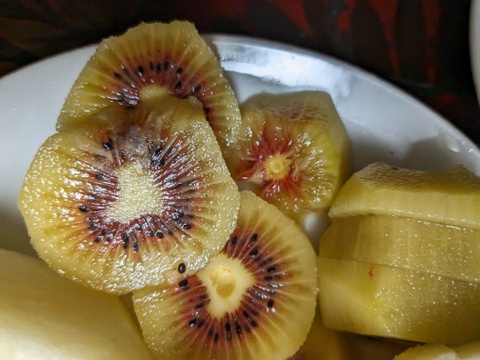 キウイフルーツ　レインボーレッド2.3ｋｇ