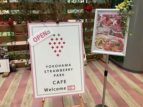 芳醇な香り！贅沢な味わいのドライイチゴ（20g×2パック）