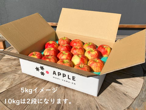 🍎ジョナゴールド🍎5kg 農薬半減栽培✨ジューシーで爽やかな酸味🍎贈り物にも👌特選りんご