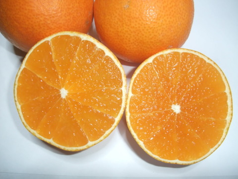 とろける・プル甘！ひめまる愛果まどんな（家庭用約３Kg）