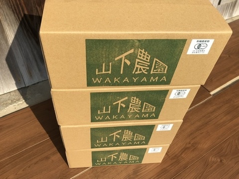 安心のオーガニック 和歌山県産有機栽培キウイフルーツ（Lサイズ12個1.8kg）