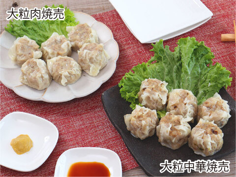 【ギフト】ジャンボ焼売を2種楽しめる　元気豚 焼売2種セット（2種4品）【熨斗対応可】