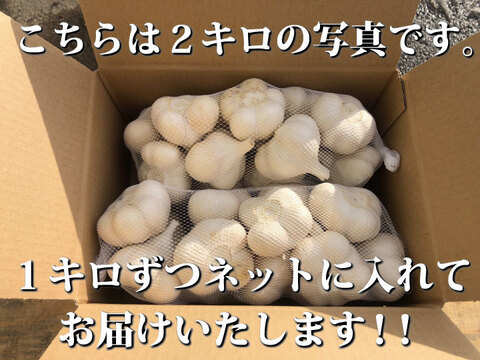 【300円OFFクーポン】令和４年産 ３キロ 青森県産にんにく 最高級品種 ホワイト６片 家庭用玉