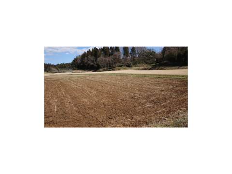 【新米】茨城県産コシヒカリ！５ｋｇ深井戸水使用！