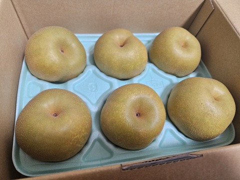 シャキっと！爽やかでみずみずしい幸水梨（2kg）規格外