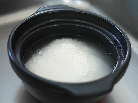 【令和7年新米】新潟県保内産幻のコシヒカリ 4.8kg