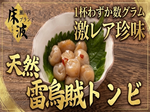 【一杯に一個の超希少珍味】🦑天然国産カミナリイカ『口先(トンビ)』長州床波ブランド海鮮部位指定キャンペーン数量限定☆お試し約100g【6月上旬予約】